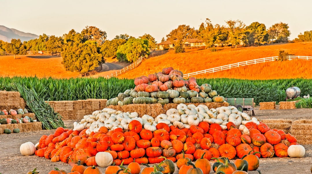 【デジタル庁最新ニュース（外部情報）】 フードバンク認証制度説明会に質問多数 消費者庁・農水省が概要説明、4月スタート